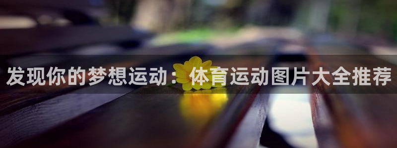 ug环球官网：发现你的梦想运动：体育运动图片大全推荐