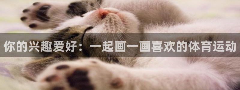 菲律宾ug环球官网：你的兴趣爱好：一起画一画喜欢的体育运动