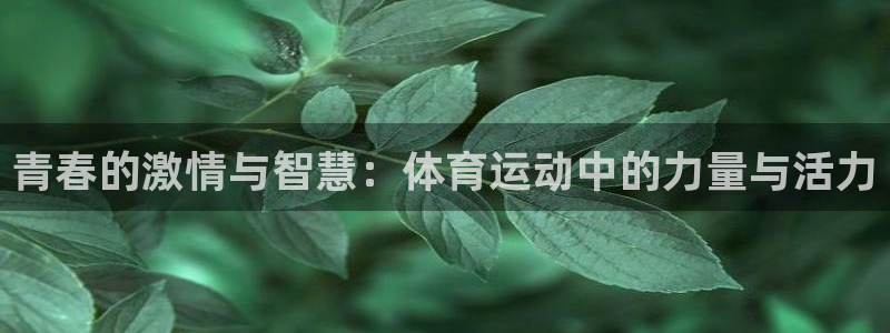 ug环球官网：青春的激情与智慧：体育运动中的力量与活力