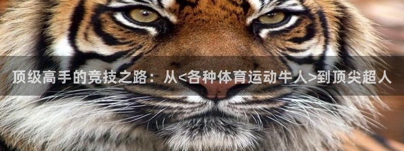 ug环球官网注册：顶级高手的竞技之路：从<各种体育运动牛人>到顶尖超人