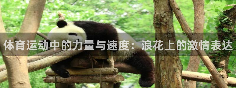 ug环球官网