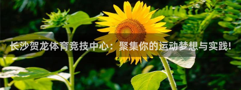 ug环球官网：长沙贺龙体育竞技中心：聚集你的运动梦想与实践!