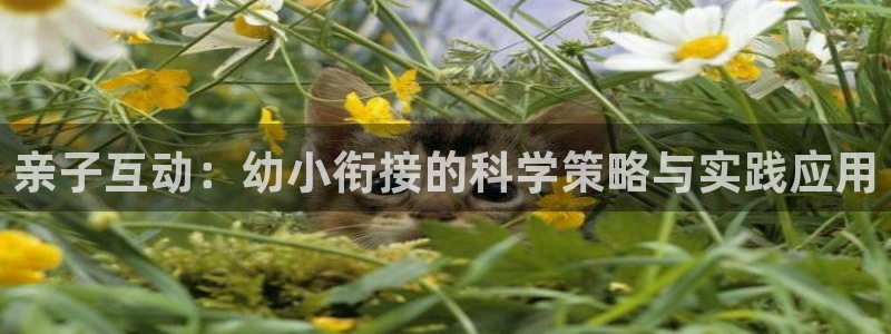 ug环球官网：亲子互动：幼小衔接的科学策略与实践应用